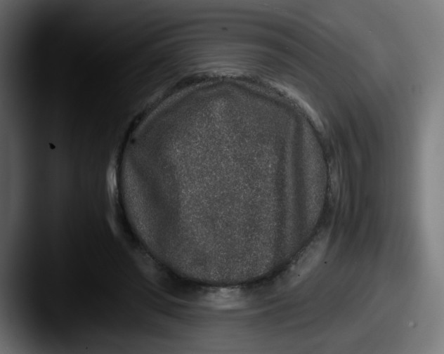 X0000087560398200705181128