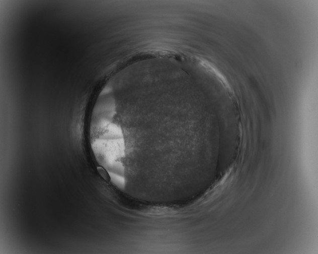 X0000087560399200705181128