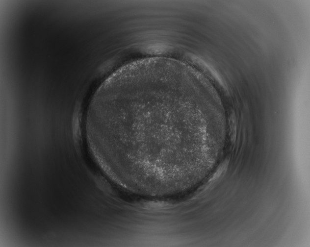 X0000087560400200705181128
