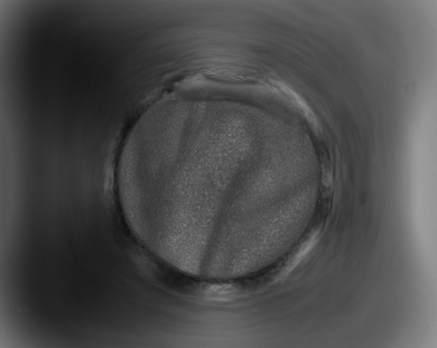 X0000087560401200705181128