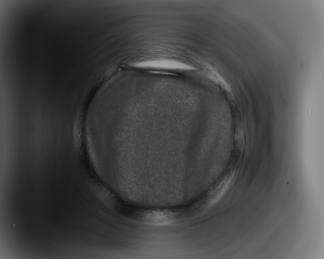 X0000087560402200705181128