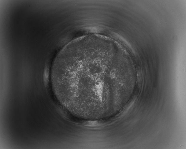 X0000087560406200705181128