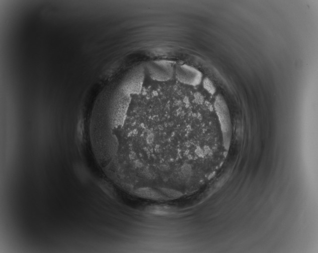 X0000087560408200705181128