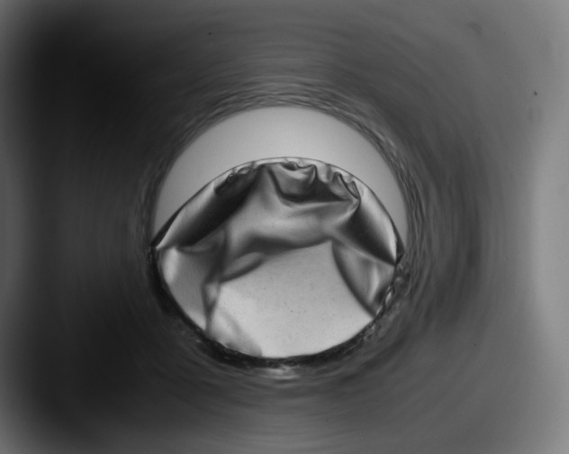 X0000087560411200705181128