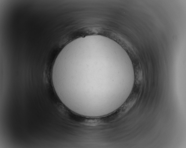 X0000087560414200705181128
