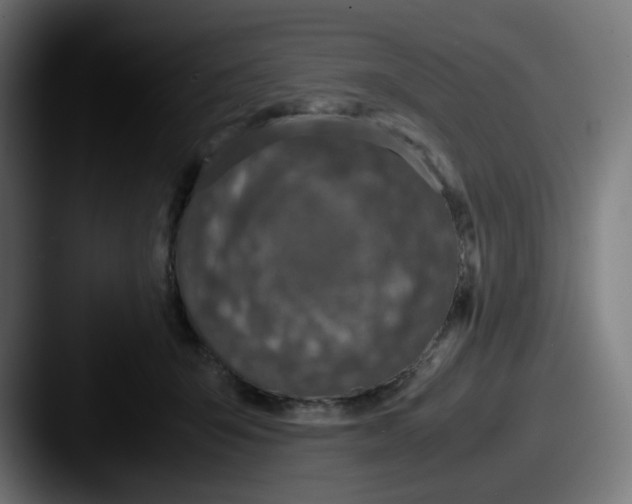 X0000087560415200705181128
