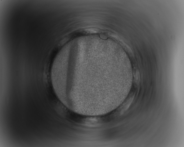 X0000087560418200705181128