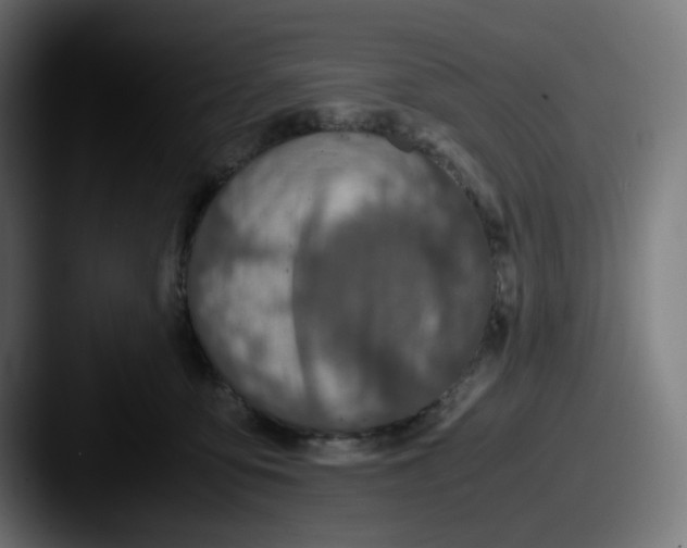 X0000087560419200705181128