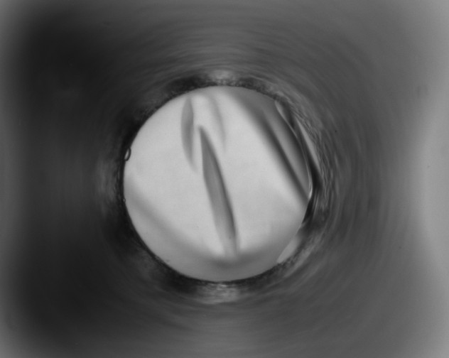X0000087560421200705181128