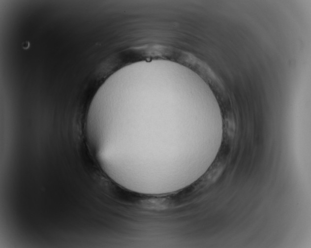 X0000087560422200705181128