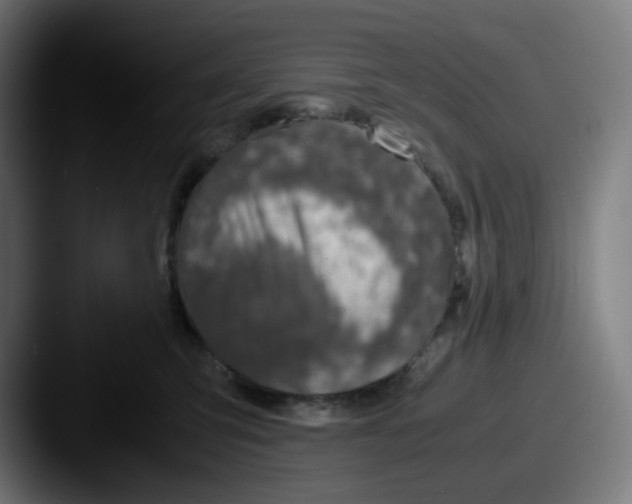 X0000087560423200705181128