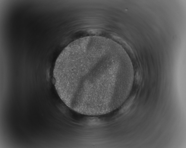 X0000087560424200705181128