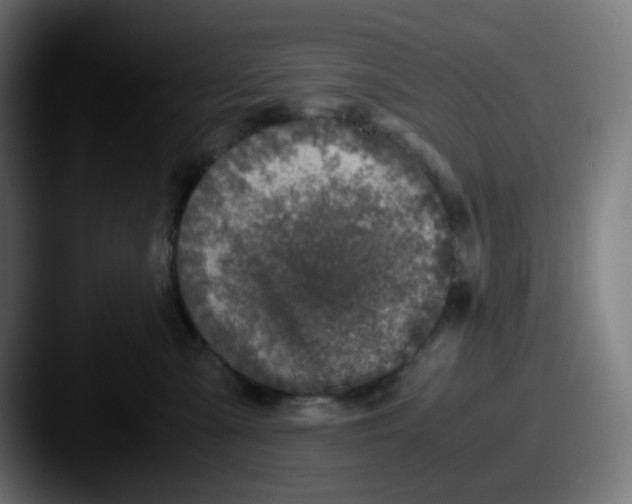 X0000087560427200705181128