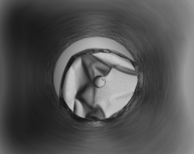 X0000087560428200705181128