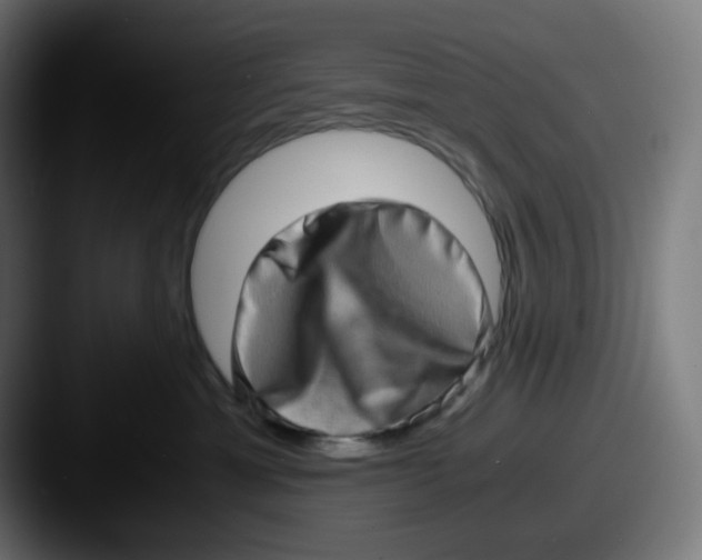 X0000087560429200705181128