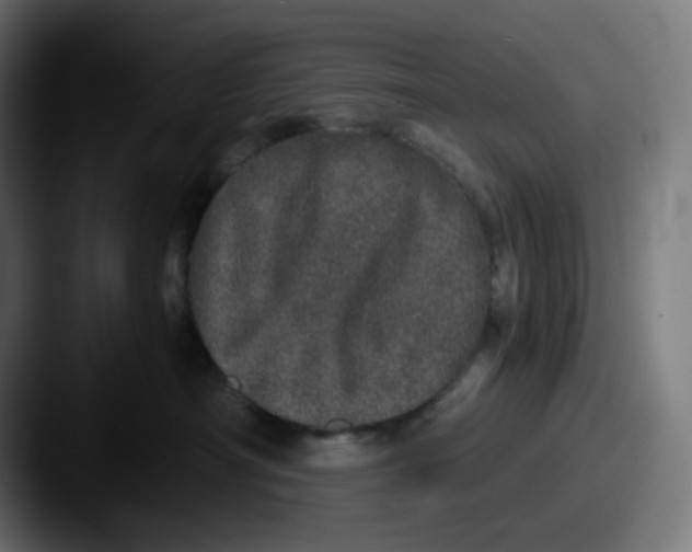 X0000087560430200705181128