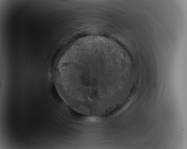 X0000087560432200705181128