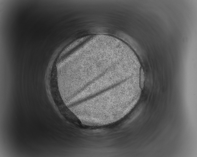X0000087560433200705181127