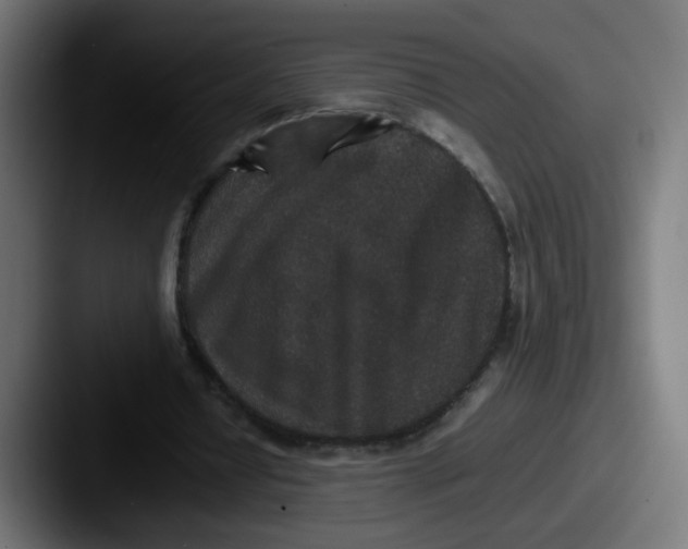 X0000087560434200705181127