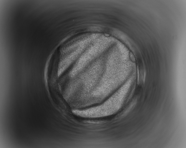 X0000087560435200705181127
