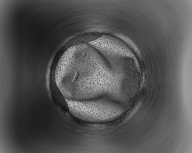 X0000087560436200705181127