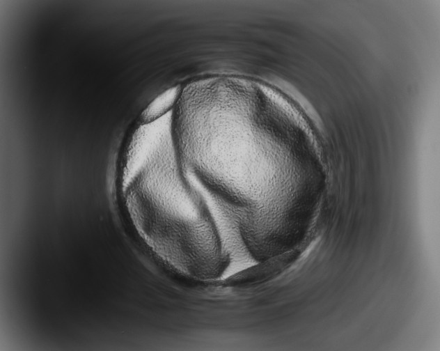 X0000087560437200705181127