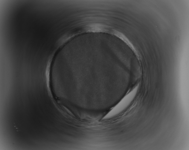 X0000087560438200705181127