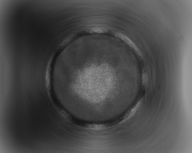 X0000087560444200705181127