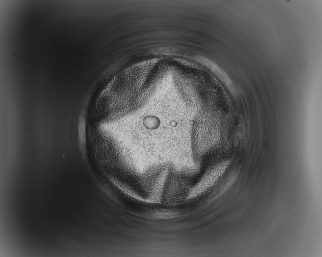 X0000087560445200705181127