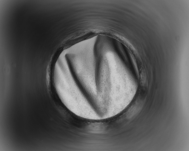 X0000087560446200705181127