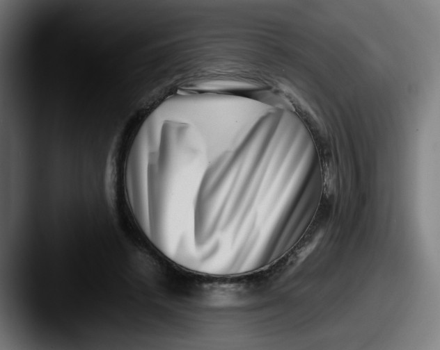 X0000087560448200705181127