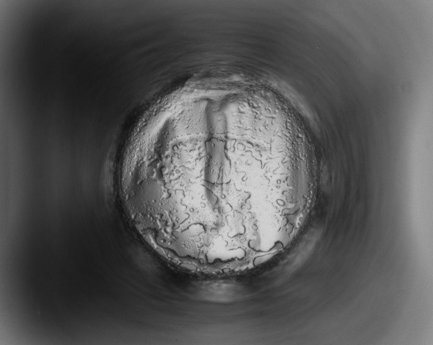 X0000087560449200705181127