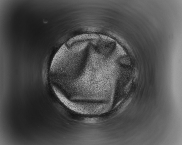 X0000087560450200705181127