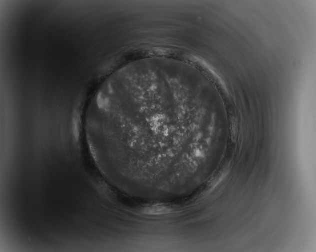 X0000087560451200705181127