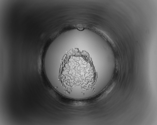 X0000087560453200705181127