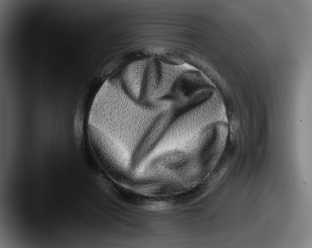 X0000087560454200705181127