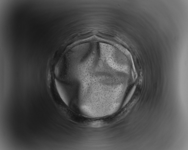 X0000087560456200705181128