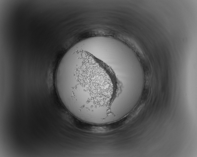 X0000087560457200705181128