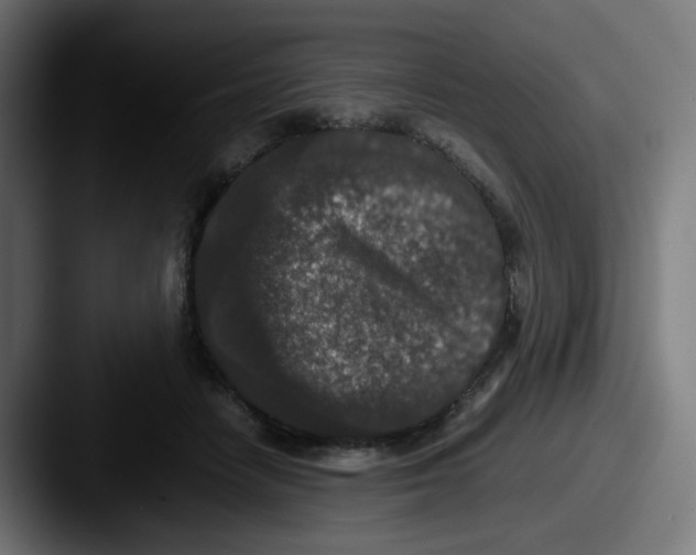 X0000087560458200705181128