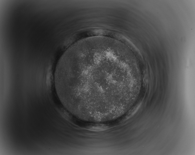 X0000087560459200705181128