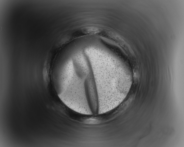 X0000087560460200705181128