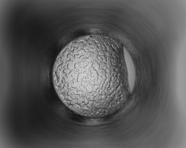 X0000087560461200705181128