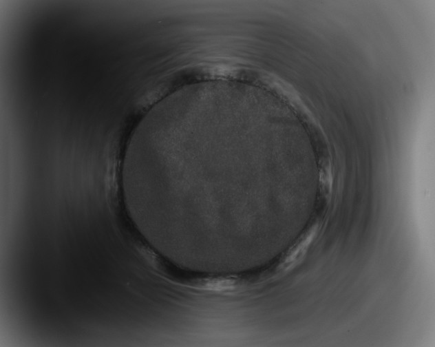 X0000087560462200705181128
