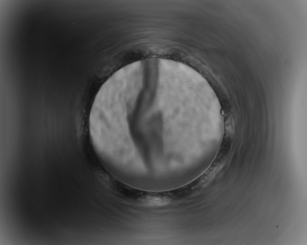 X0000087560464200705181128