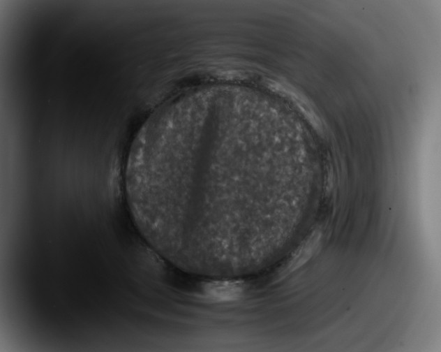 X0000087560465200705181128