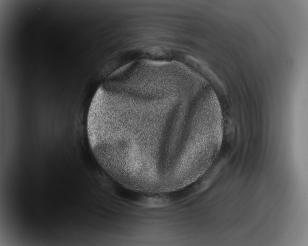 X0000087560466200705181128
