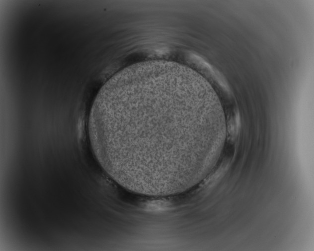 X0000087560468200705181128