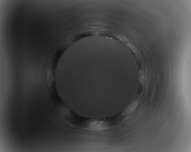 X0000087560471200705181128