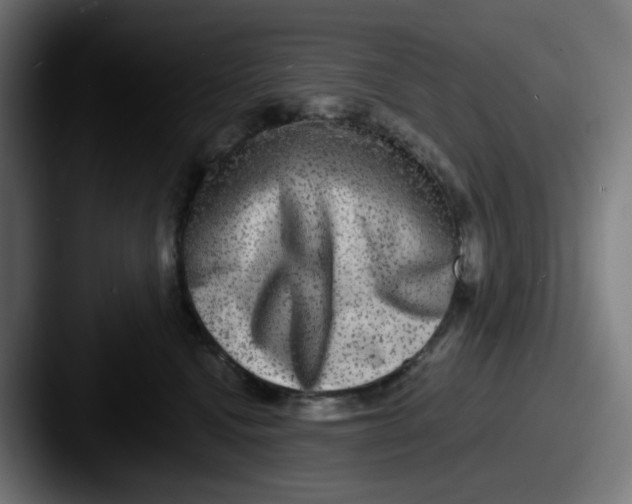 X0000087560472200705181128