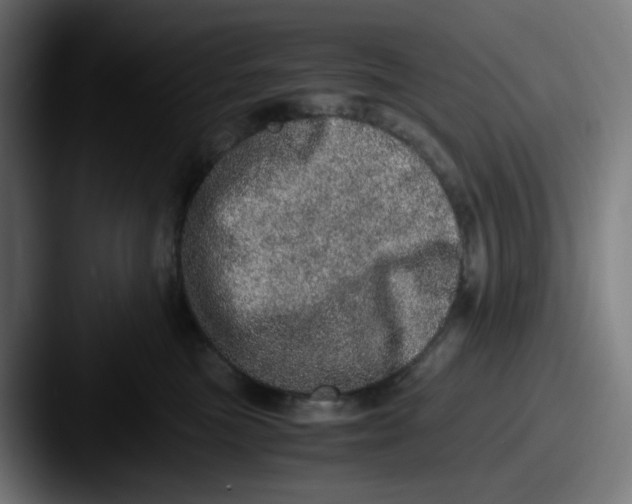 X0000087560473200705181128